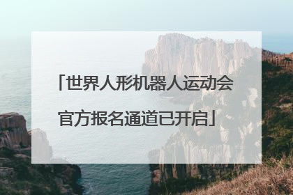 世界人形机器人运动会官方报名通道已开启