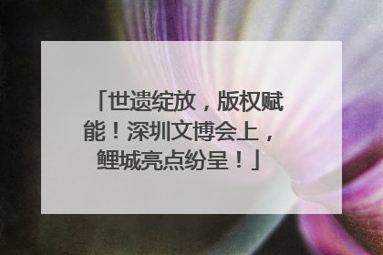 世遗绽放，版权赋能！深圳文博会上，鲤城亮点纷呈！