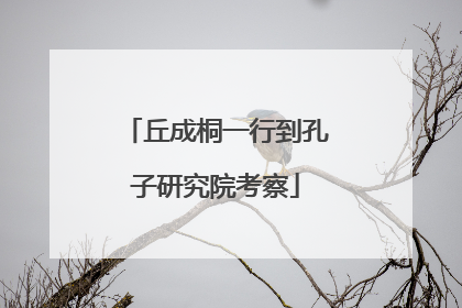丘成桐一行到孔子研究院考察