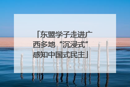 东盟学子走进广西多地“沉浸式”感知中国式民主