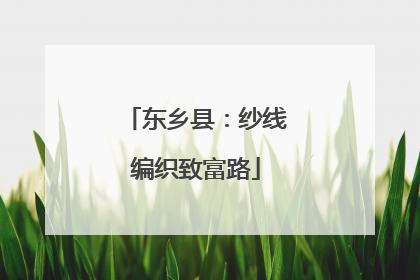 东乡县：纱线编织致富路