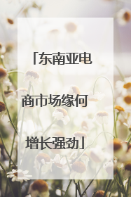 东南亚电商市场缘何增长强劲