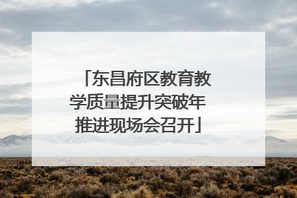 东昌府区教育教学质量提升突破年推进现场会召开