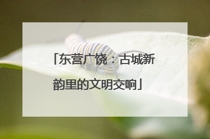 东营广饶：古城新韵里的文明交响