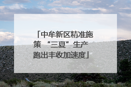 中牟新区精准施策 “三夏”生产跑出丰收加速度