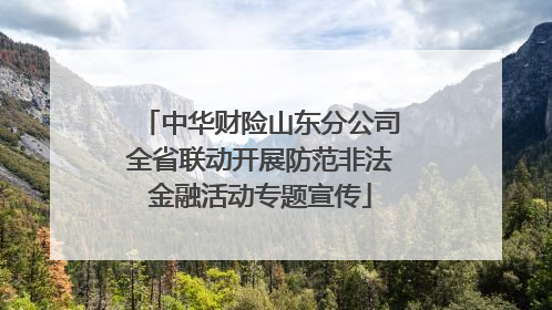 中华财险山东分公司全省联动开展防范非法金融活动专题宣传