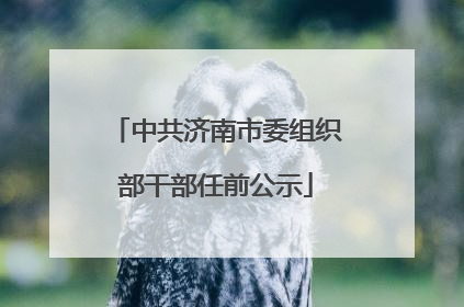 中共济南市委组织部干部任前公示