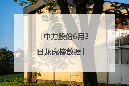 中力股份6月3日龙虎榜数据