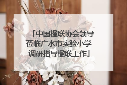中国楹联协会领导莅临广水市实验小学调研指导楹联工作