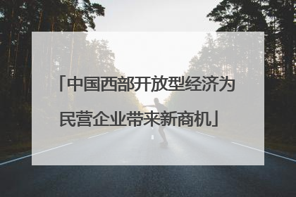 中国西部开放型经济为民营企业带来新商机
