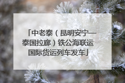 中老泰（昆明安宁—泰国拉廊）铁公海联运国际货运列车发车