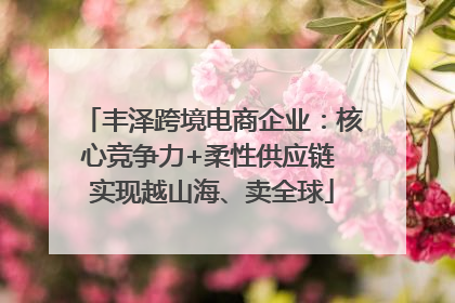 丰泽跨境电商企业：核心竞争力+柔性供应链 实现越山海、卖全球