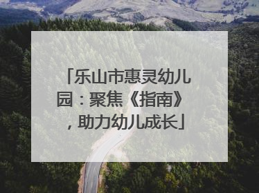 乐山市惠灵幼儿园：聚焦《指南》，助力幼儿成长