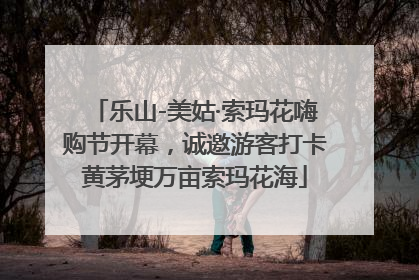 乐山-美姑·索玛花嗨购节开幕，诚邀游客打卡黄茅埂万亩索玛花海