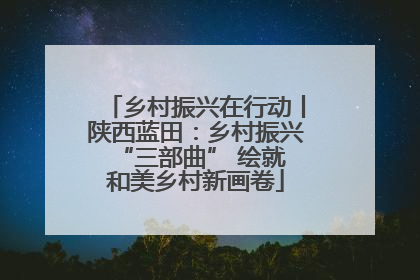 乡村振兴在行动丨陕西蓝田：乡村振兴 “三部曲” 绘就和美乡村新画卷