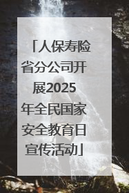 人保寿险省分公司开展2025年全民国家安全教育日宣传活动