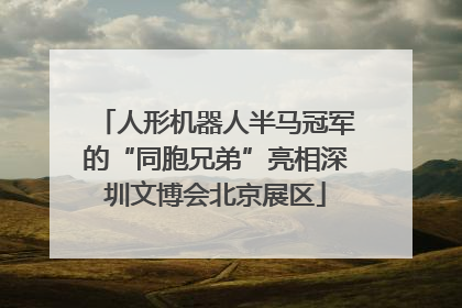 人形机器人半马冠军的“同胞兄弟”亮相深圳文博会北京展区