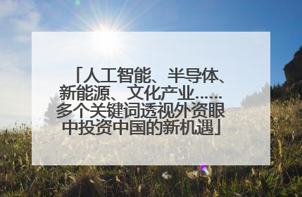 人工智能、半导体、新能源、文化产业……多个关键词透视外资眼中投资中国的新机遇