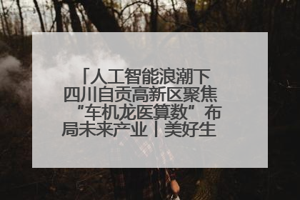 人工智能浪潮下 四川自贡高新区聚焦“车机龙医算数”布局未来产业丨美好生活有“盐”味