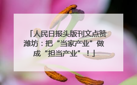 人民日报头版刊文点赞潍坊：把“当家产业”做成“担当产业”！