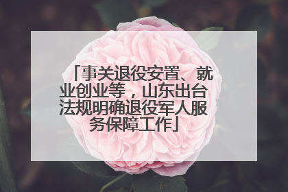 事关退役安置、就业创业等，山东出台法规明确退役军人服务保障工作