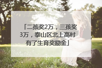 二孩奖2万，三孩奖3万，泰山区北上高村有了生育奖励金