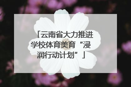 云南省大力推进学校体育美育“浸润行动计划”