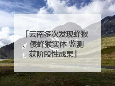 云南多次发现蜂猴、倭蜂猴实体 监测获阶段性成果