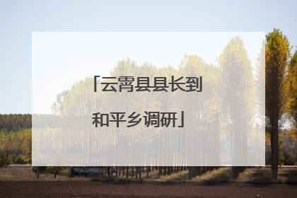云霄县县长到和平乡调研