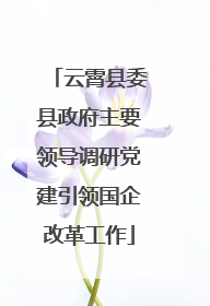 云霄县委县政府主要领导调研党建引领国企改革工作