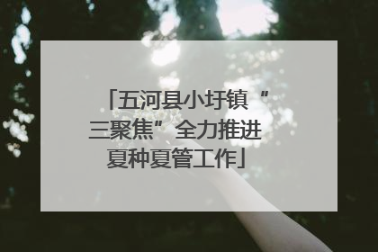 五河县小圩镇“三聚焦”全力推进夏种夏管工作