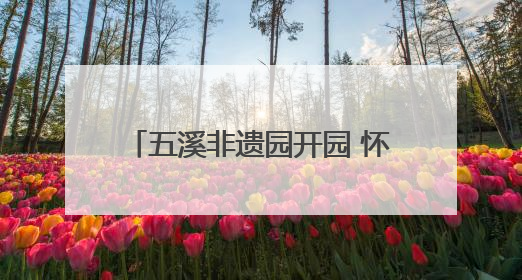 五溪非遗园开园 怀化非遗“出海”启航