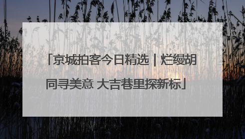 京城拍客今日精选｜烂缦胡同寻美意 大吉巷里探新标