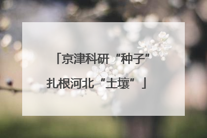 京津科研“种子”扎根河北“土壤”