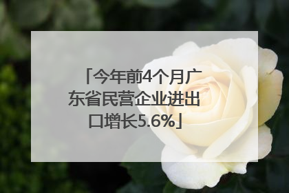 今年前4个月广东省民营企业进出口增长5.6%