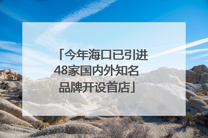 今年海口已引进48家国内外知名品牌开设首店