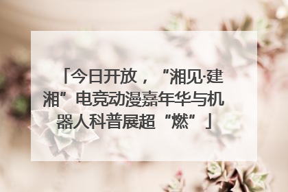 今日开放，“湘见·建湘”电竞动漫嘉年华与机器人科普展超“燃”
