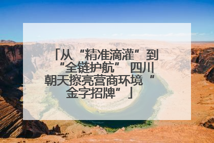 从“精准滴灌”到“全链护航” 四川朝天擦亮营商环境“金字招牌”