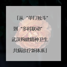 从“单打独斗”到“多科联动” 武汉构建精神卫生共病诊疗新体系