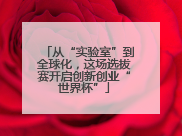 从“实验室”到全球化，这场选拔赛开启创新创业“世界杯”