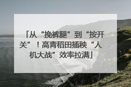 从“挽裤腿”到“按开关”！高青稻田插秧“人机大战”效率拉满