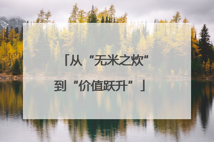 从“无米之炊”到“价值跃升”