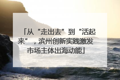 从“走出去”到“活起来”，滨州创新实践激发市场主体出海动能