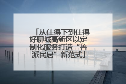 从住得下到住得好聊城高新区以定制化服务打造“鲁派民居”新范式