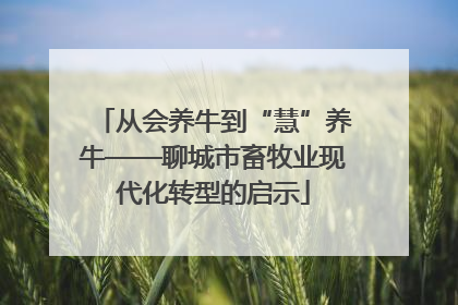 从会养牛到“慧”养牛——聊城市畜牧业现代化转型的启示