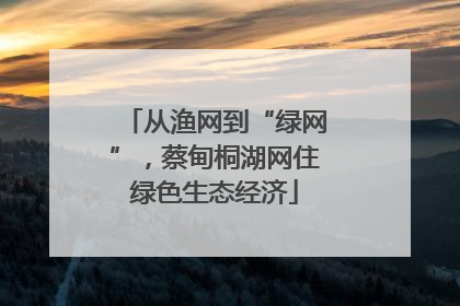 从渔网到“绿网”，蔡甸桐湖网住绿色生态经济