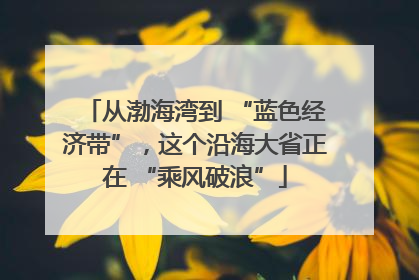 从渤海湾到 “蓝色经济带”，这个沿海大省正在 “乘风破浪”