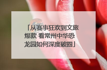 从赛事狂欢到文旅爆款 看常州中华恐龙园如何深度破圈