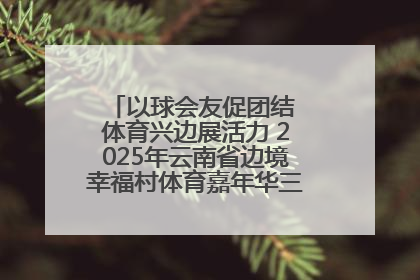 以球会友促团结 体育兴边展活力 2025年云南省边境幸福村体育嘉年华三人篮球赛圆满收官