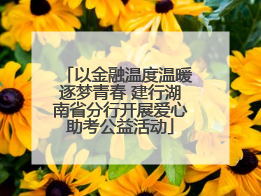以金融温度温暖逐梦青春 建行湖南省分行开展爱心助考公益活动
